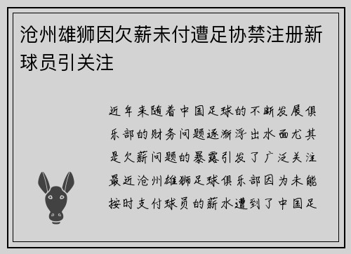 沧州雄狮因欠薪未付遭足协禁注册新球员引关注 沧州雄狮因欠薪未付遭足协禁注册新球员引关注